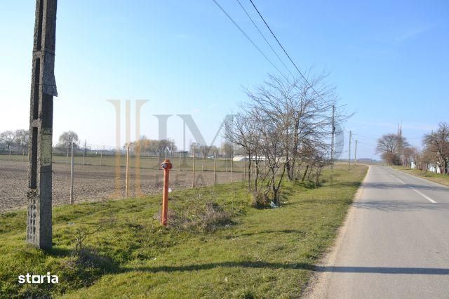 Vanzare Teren intravilan, 5600 mp in Mircea Voda - Dambovita.