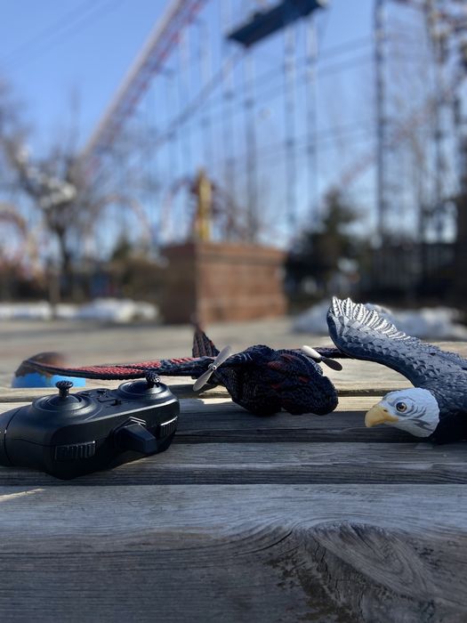 Игрушка самый популярный