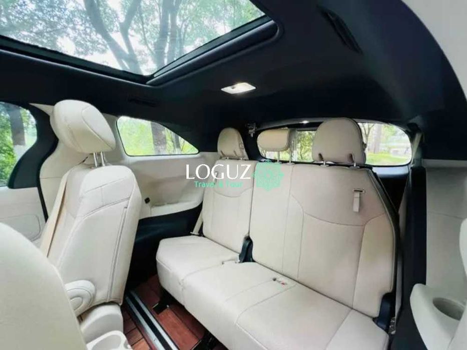 гид-водитель на минивене для поездок и экскурсий по Ташкенту и окрестн