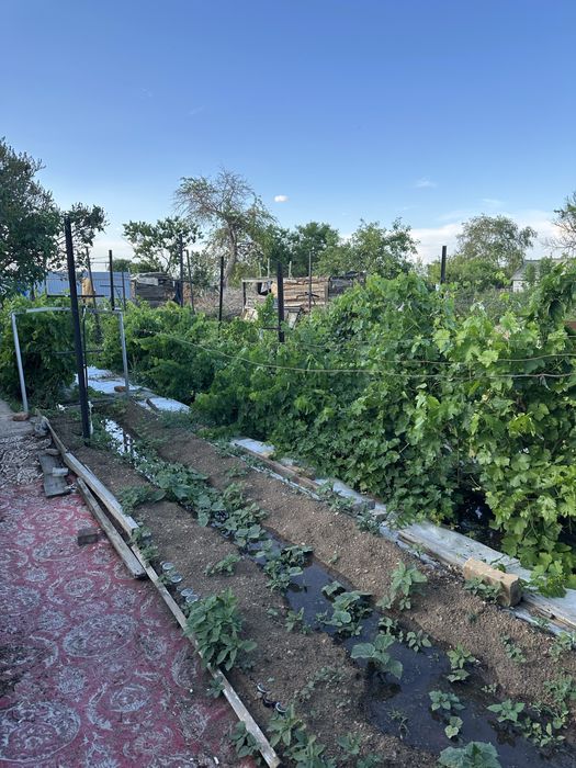 Продается дача на 1 водоколонке