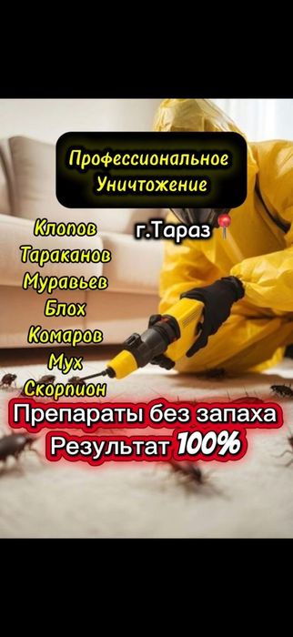 Дезинфекция всех насекомых