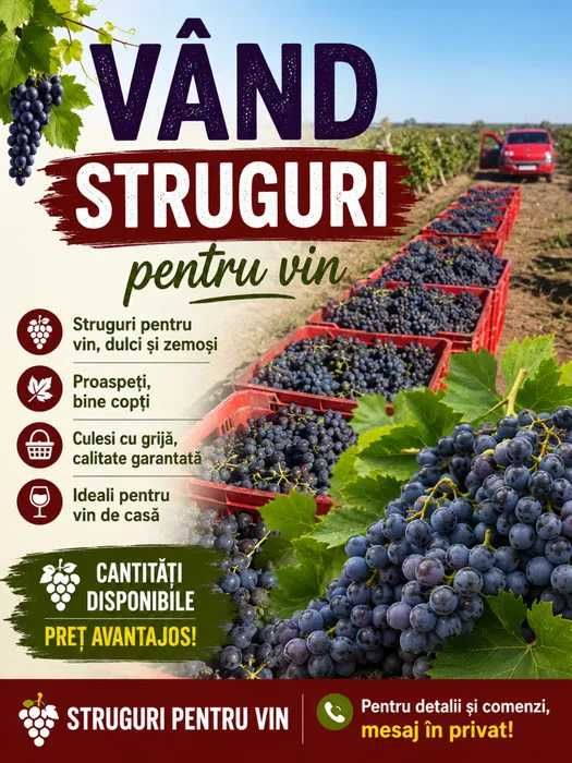 Vand Struguri de  Vin