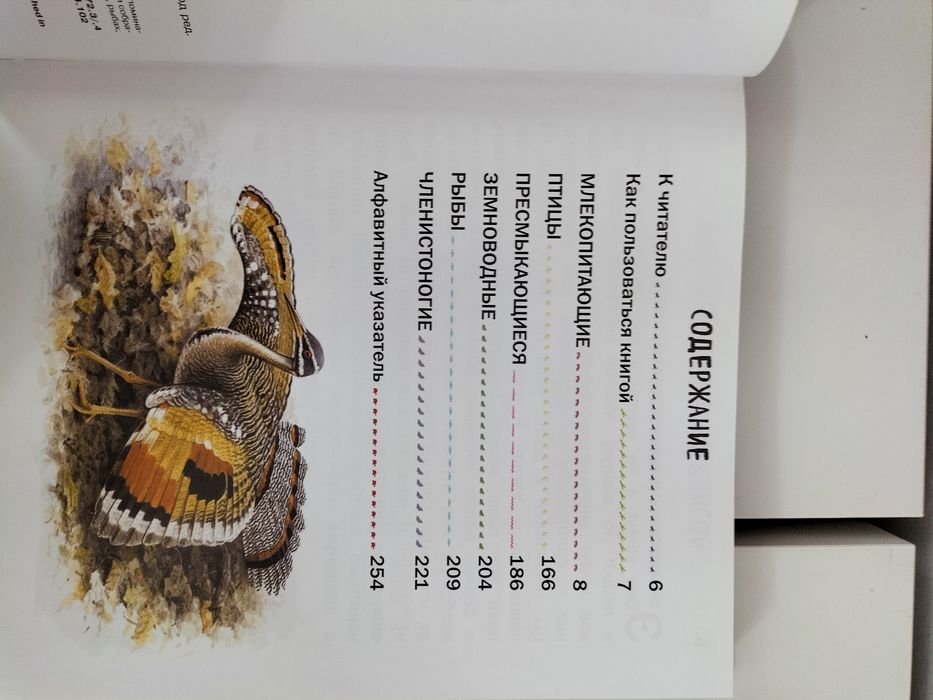 Энциклопедия для детей