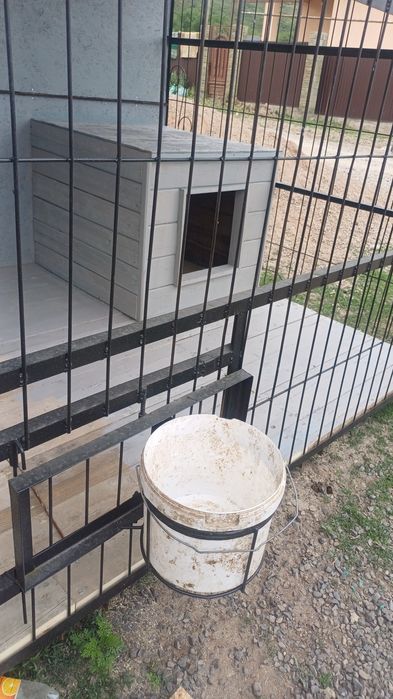 Вольер для крупных пород собак