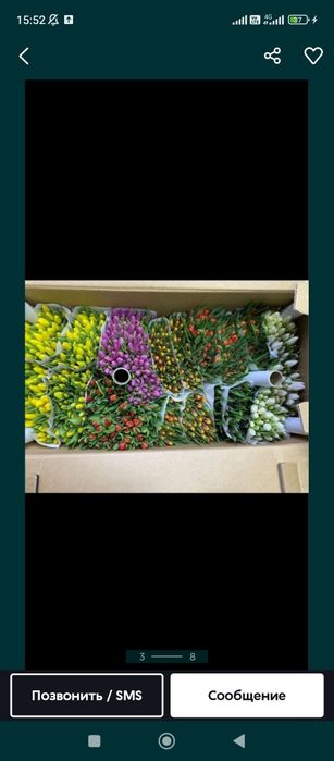 Тюльпаны с доставкой