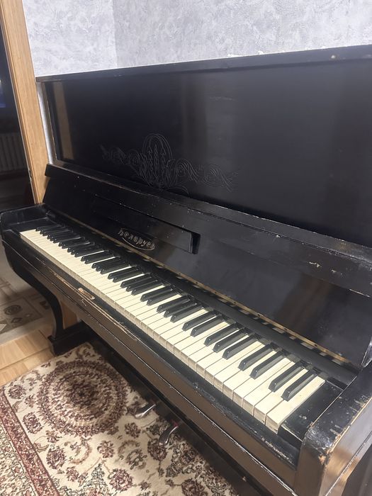 Фортепиона Беларусь