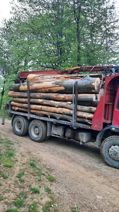 Lemn de foc esenta fag