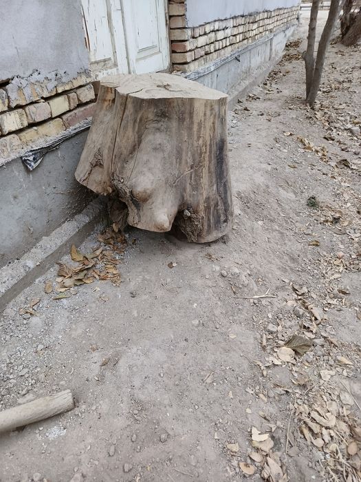 Qassoblar uchun kerak