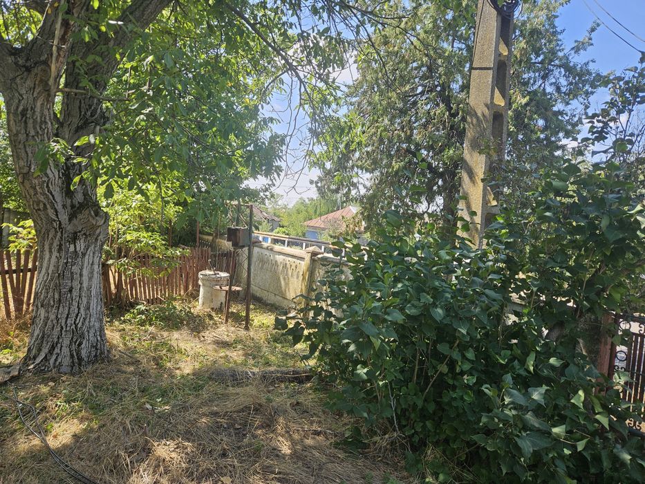 Vand casa Vitanesti, Teleorman