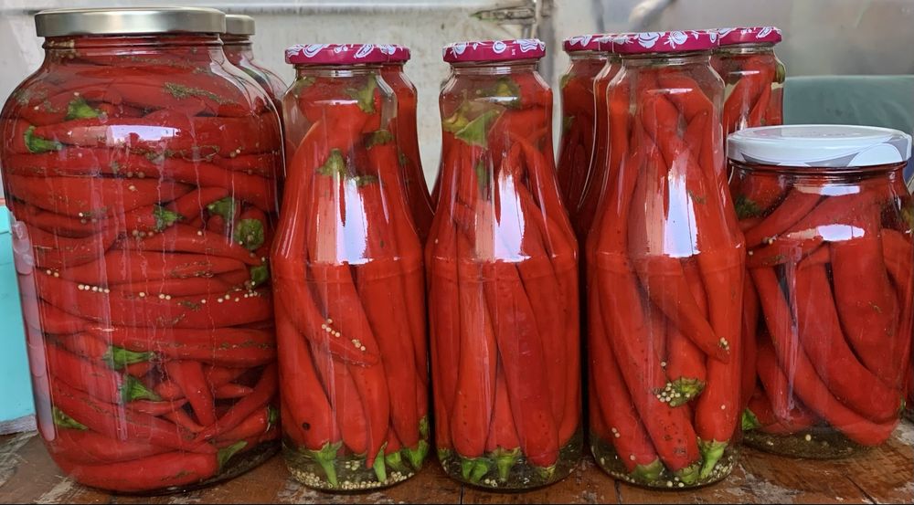 Muraturi facute din gradina proprie