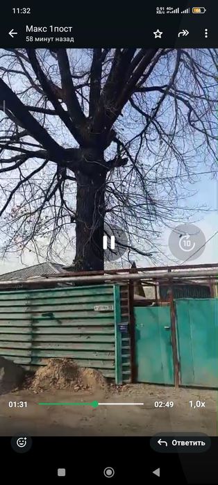 Продам дерево дуб