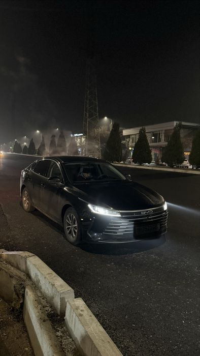 Chazor 2024 Holati idial