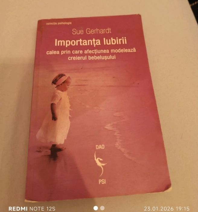 Carte Importanta iubirii