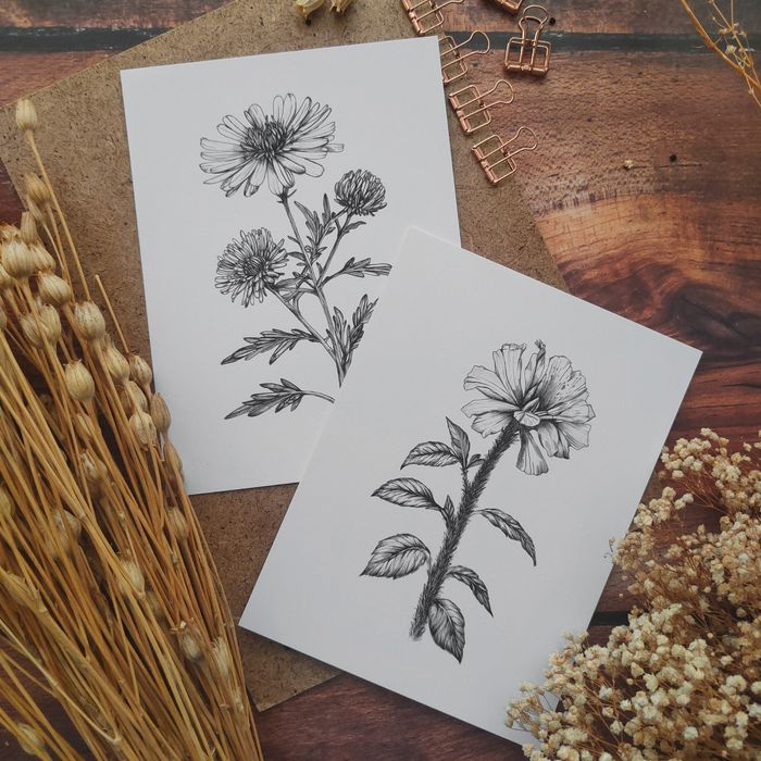 Малки графики на различни видове цветя, рисунки