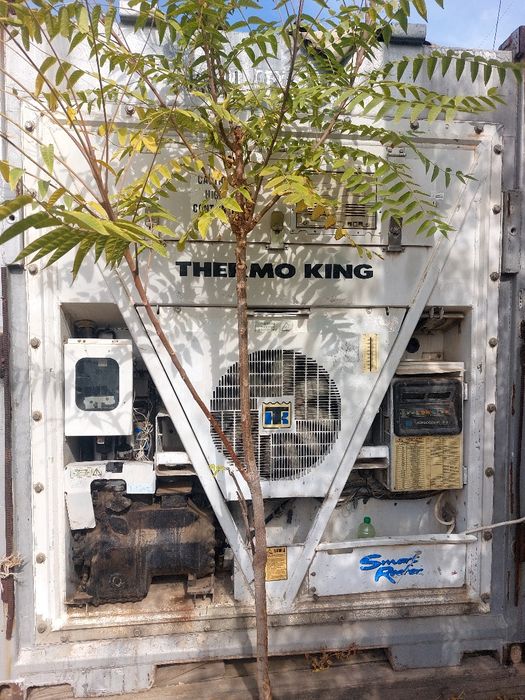 40 тонник морозильник