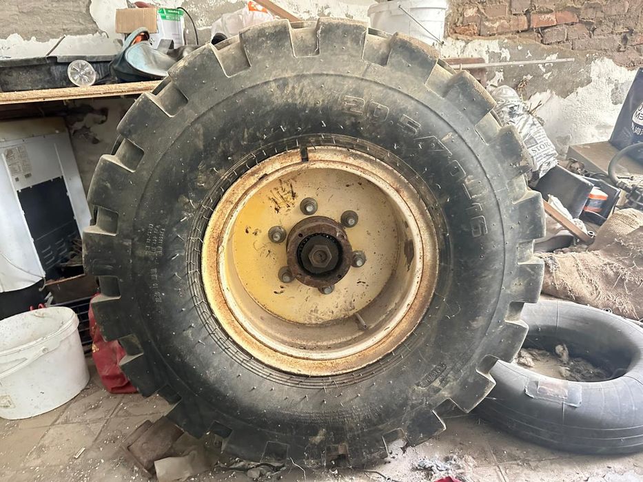 болол дискысмен  жакдайы оте жаксы