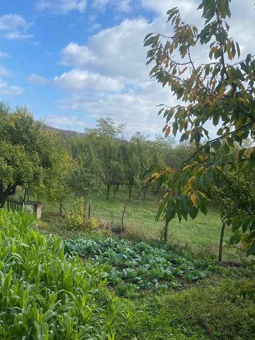 Casa batraneasca renovata cu teren