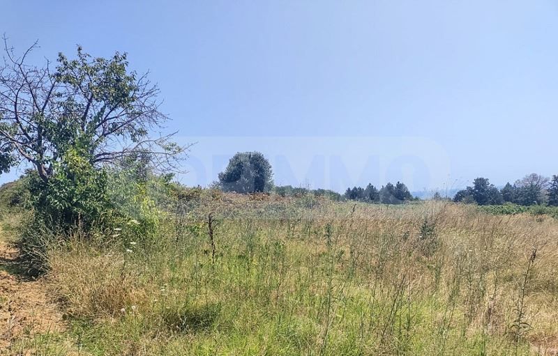 Продава се Парцел в Бяла - 6376 кв.м за 45 €/кв.м - Снимка #2