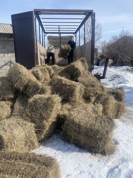 Сено тюк шоп разнотравье