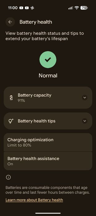 Google Pixel 9 128GB с още 6 м. гаранция