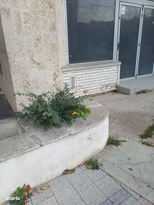 Inel 2, Cora, spatiu comercial stradal, pret 1000 euro