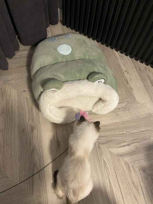 Culcus pufos pentru pisici