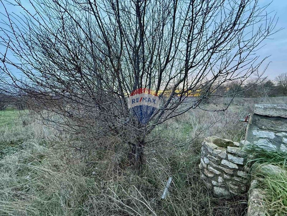 Продава се Парцел в с. Топола, Област Добрич - 2425 кв.м за 16 €/кв.м - Снимка #7