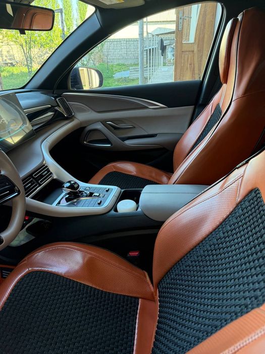 Other Song Pro DM-i Champion 2025 — 3