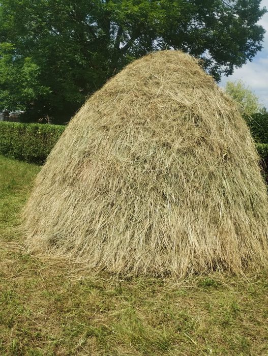 Fân de vânzare !