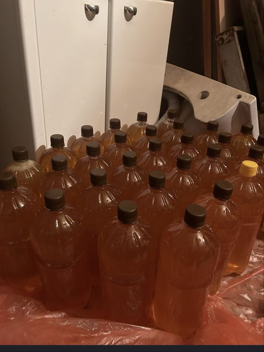 Продам мёд Катонски