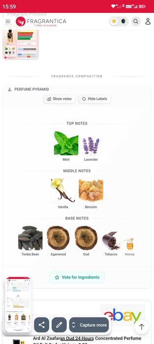 Parfum Wild Oud