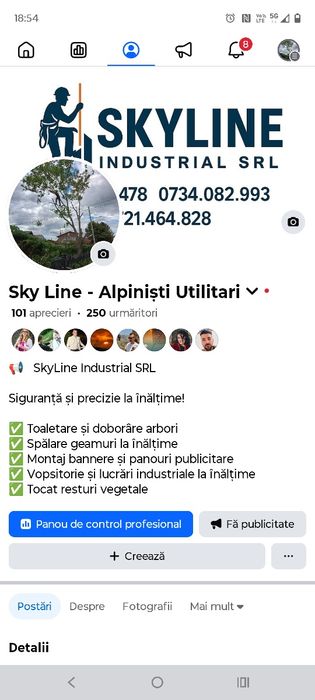 Taieri copaci. Toaletare copaci. Doborare Copaci. Servicii Alpinisti
