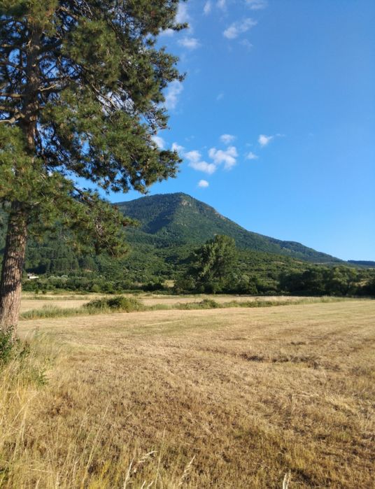 Продава имот в гр.Дупница