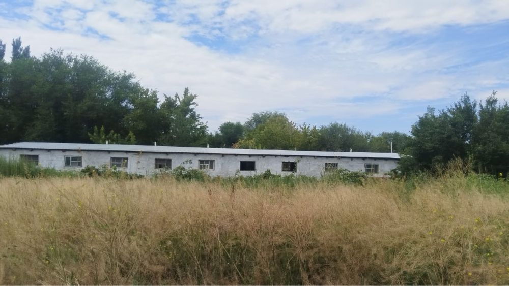Продам откорм базу