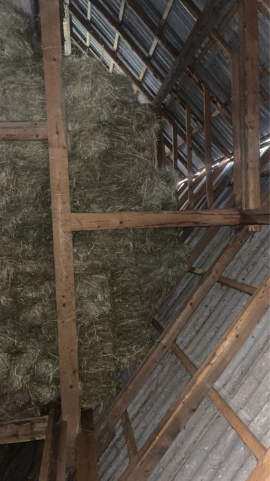 Vând baloti de fân