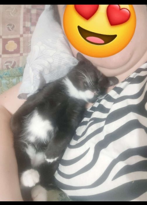 Отдам в добрые руки