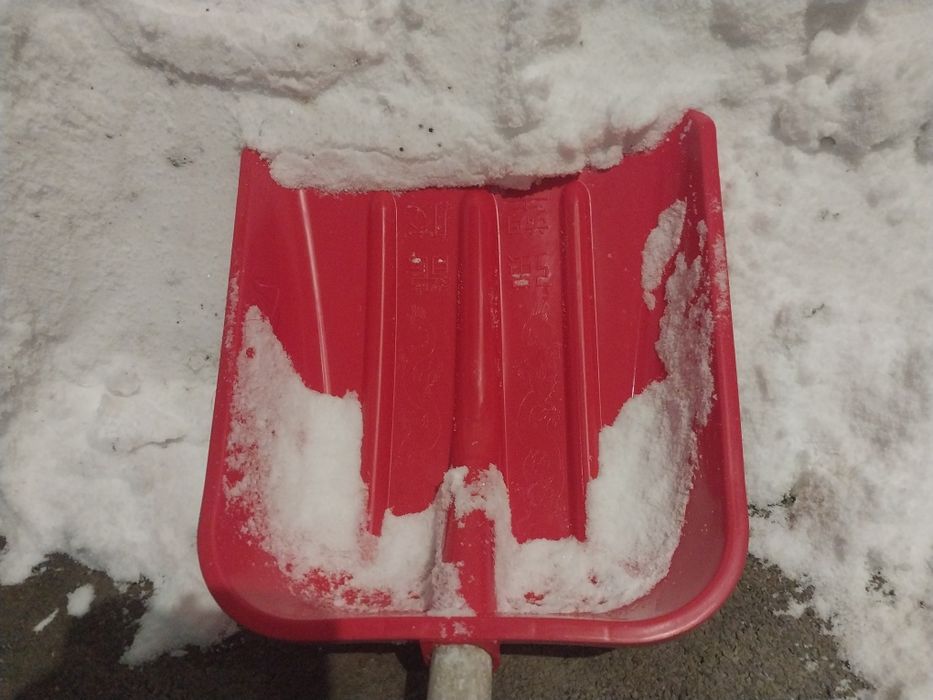 Лопата  морозостойки