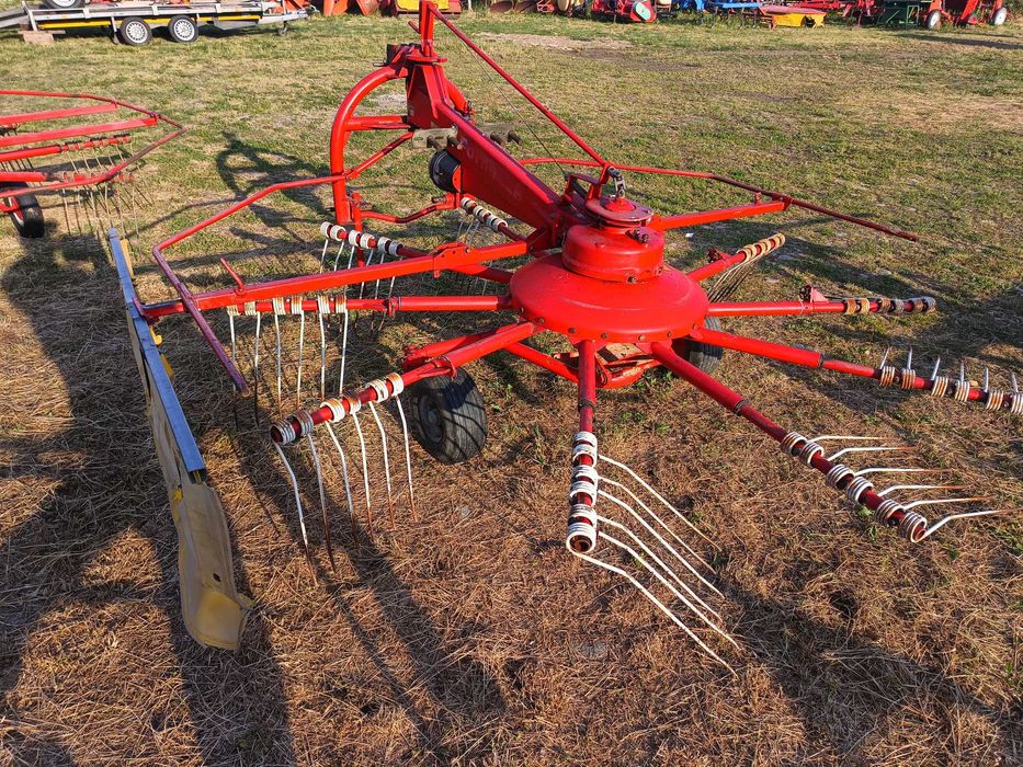 Grebla paianjen, Pottinger 33