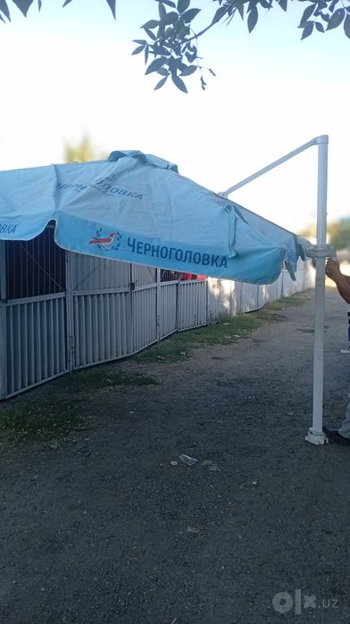 Зонтик каттасидан 3 та бор