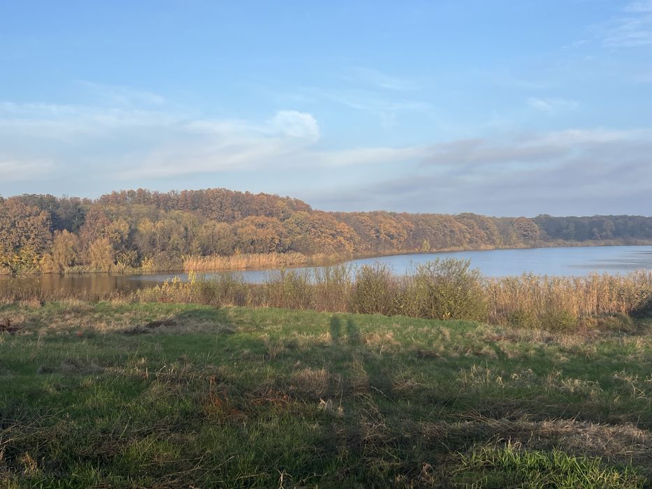 Teren Gradistea lac Caldarusani