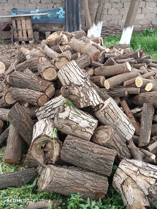 Ўтинлар бор катта катта нархи келишилади