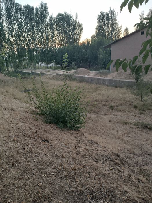 Uchastka  sotiladi