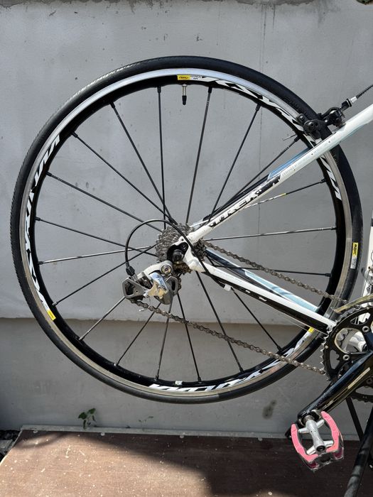 Cursiera TREK Lexa S Roti Roti Carbon. Mavic