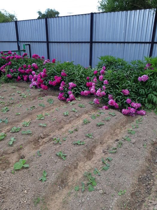 Продам дом срочно