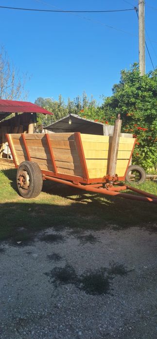 Vand remorca(piridoc) basculabila