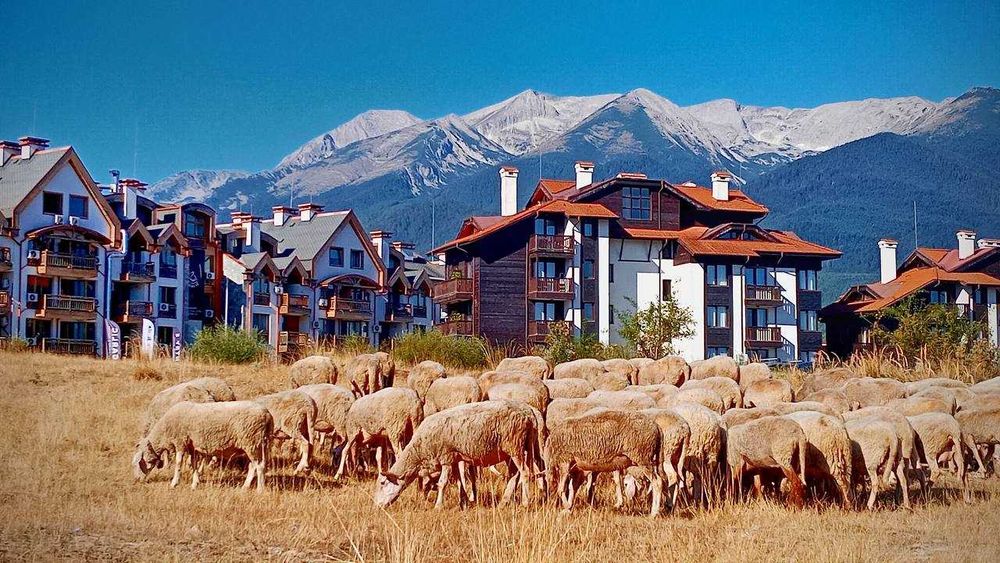 Студио под наем с камина и прекрасна гледка към Пирин от собственик