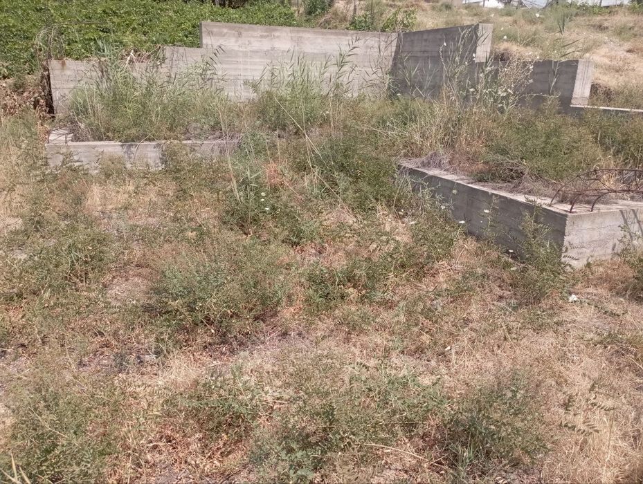 Продается земля 6 соток Паркентская область Сурхи