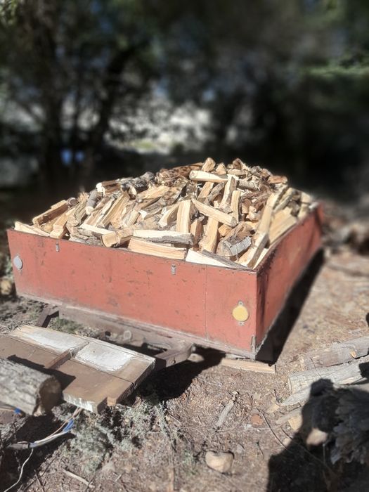 Продам дрова осина