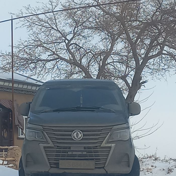 Dongfeng m5 sotladi