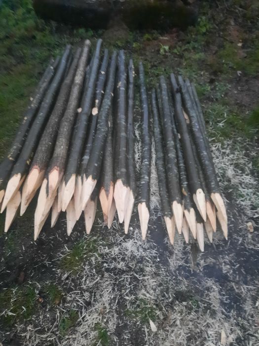 Pari pentru vie ,  rosii sau fasole  / Stâlpi gard electric / Araci